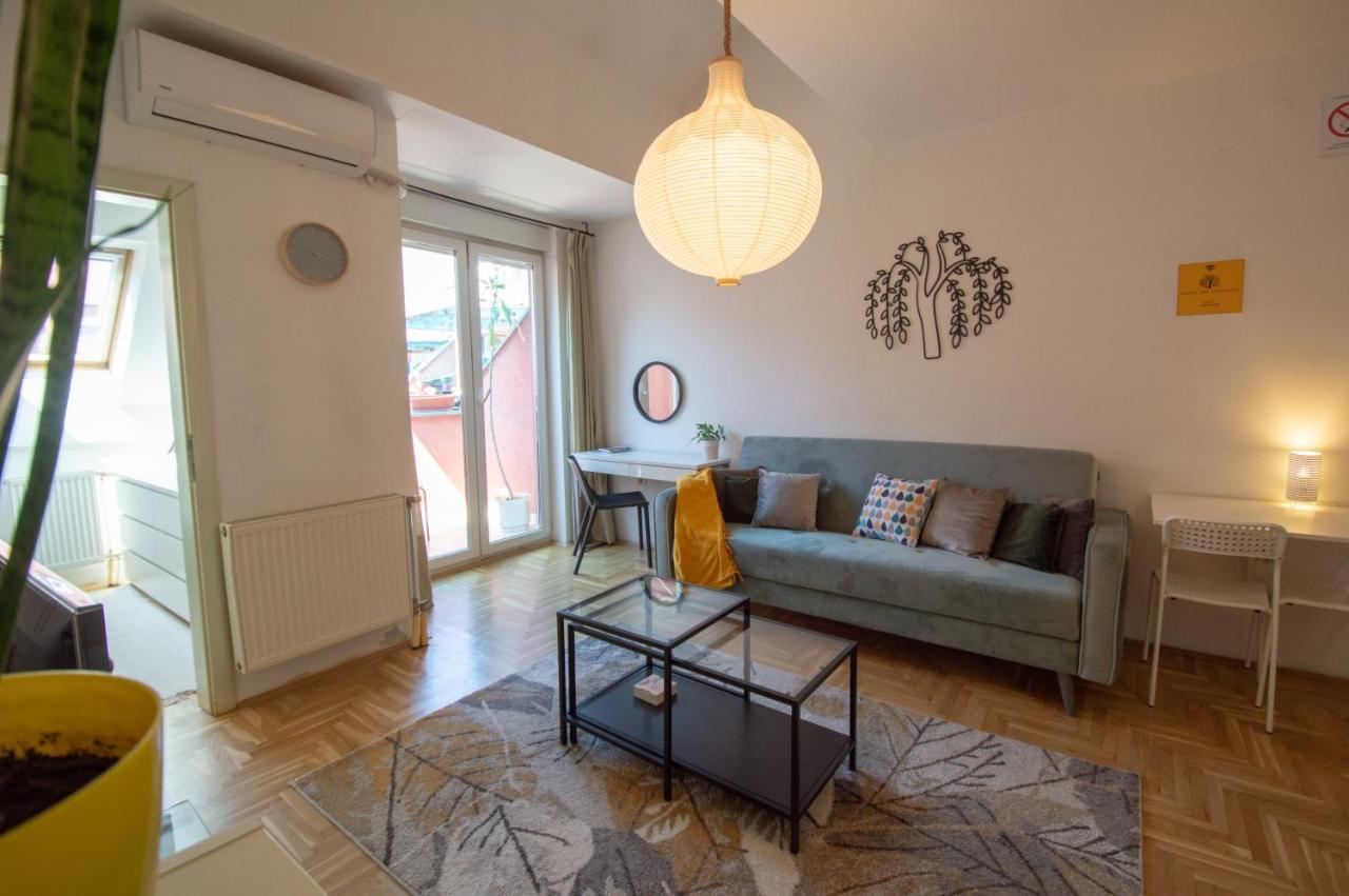 Spacious 1-Bedroom Apartment Nowy Sad Zewnętrze zdjęcie